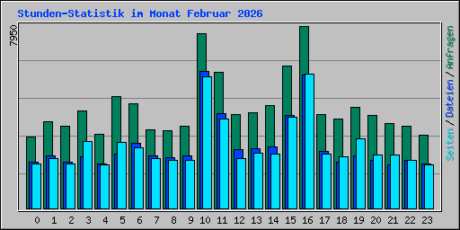 Stunden-Statistik im Monat Februar 2026